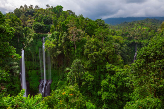 Sekumpul Vízesés, bali